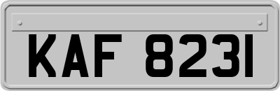 KAF8231