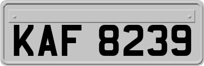 KAF8239