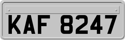 KAF8247