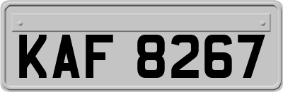 KAF8267