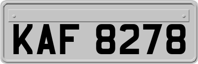 KAF8278
