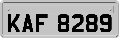 KAF8289