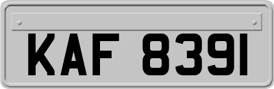 KAF8391