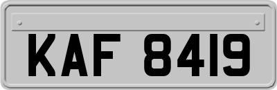 KAF8419