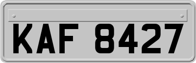 KAF8427
