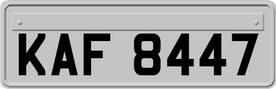 KAF8447
