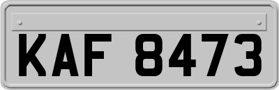 KAF8473