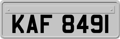 KAF8491