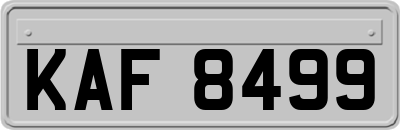 KAF8499