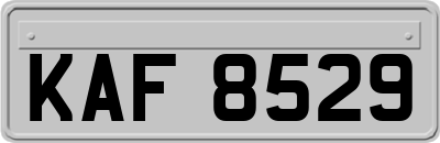 KAF8529