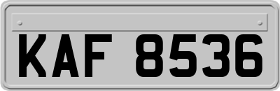 KAF8536