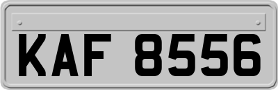 KAF8556
