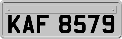 KAF8579