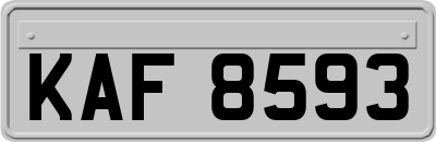 KAF8593