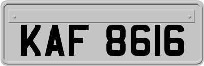 KAF8616
