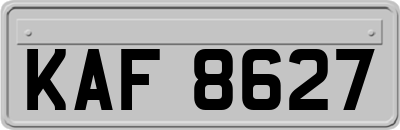 KAF8627