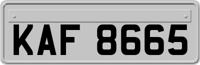 KAF8665