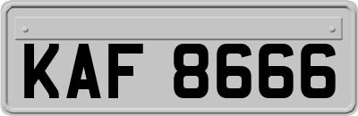 KAF8666
