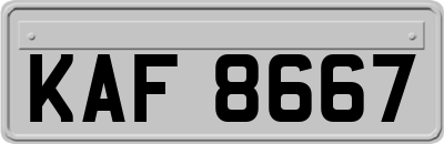 KAF8667