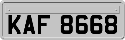 KAF8668