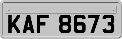 KAF8673