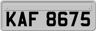 KAF8675