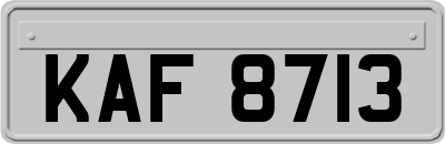 KAF8713
