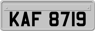 KAF8719