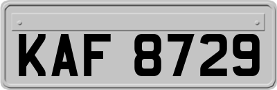 KAF8729