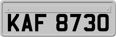 KAF8730