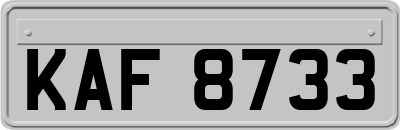 KAF8733