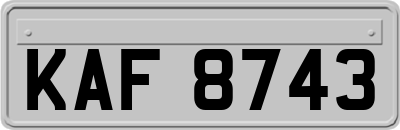 KAF8743