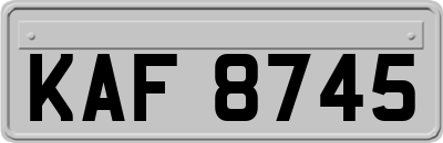 KAF8745