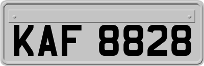 KAF8828