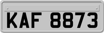 KAF8873