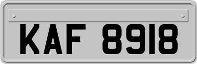 KAF8918