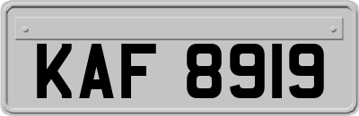 KAF8919