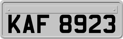KAF8923