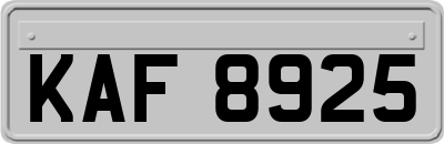 KAF8925