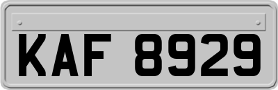 KAF8929