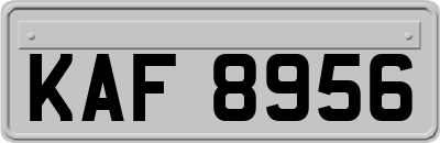 KAF8956