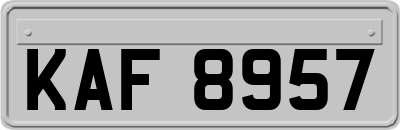 KAF8957