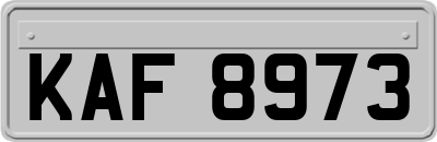 KAF8973
