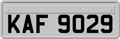 KAF9029