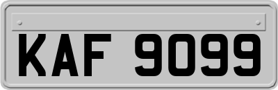 KAF9099