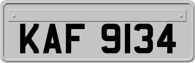 KAF9134