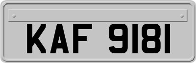 KAF9181