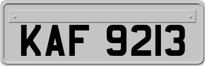 KAF9213
