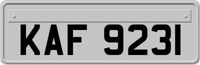 KAF9231