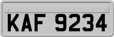 KAF9234